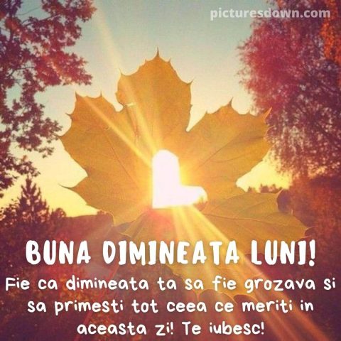 Buna dimineata luni inima imagine frunze descarcă gratis