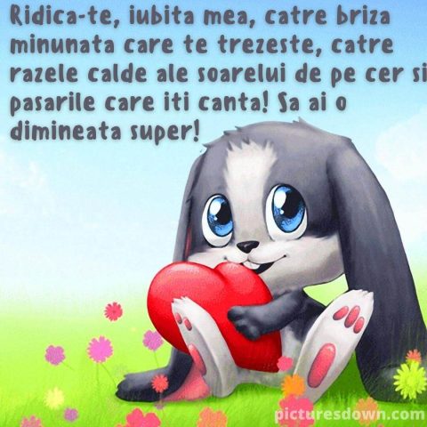 Buna dimineata luni inima imagine iepuraș descarcă gratis