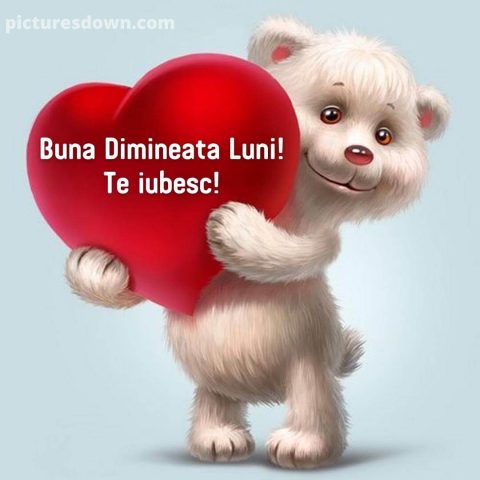 Buna dimineata luni inima imagine urs descarcă gratis