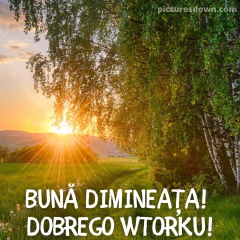 Buna dimineata marti imagine răsărit peste luncă descarcă gratis