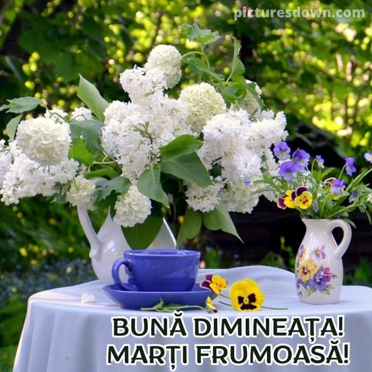 Buna dimineata marti imagine flori descarcă gratis