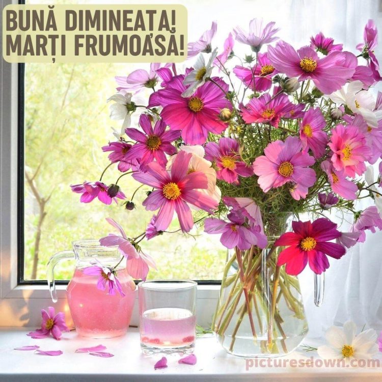 Buna dimineata marti imagine flori pe geam descarcă gratis