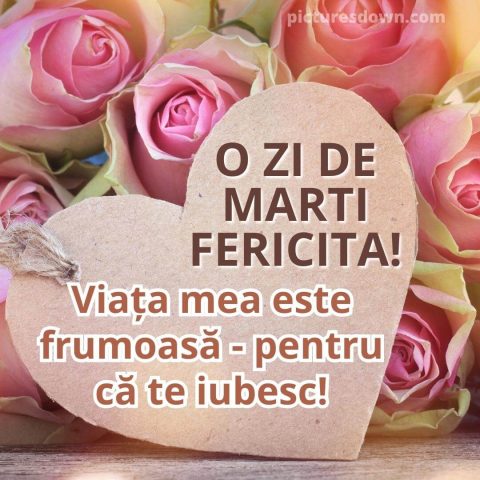 Buna dimineata marti iubire poza trandafiri și carte poștală descarcă gratis