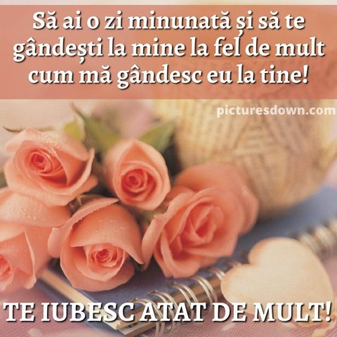 Buna dimineata marti iubire imagine trandafiri descarcă gratis