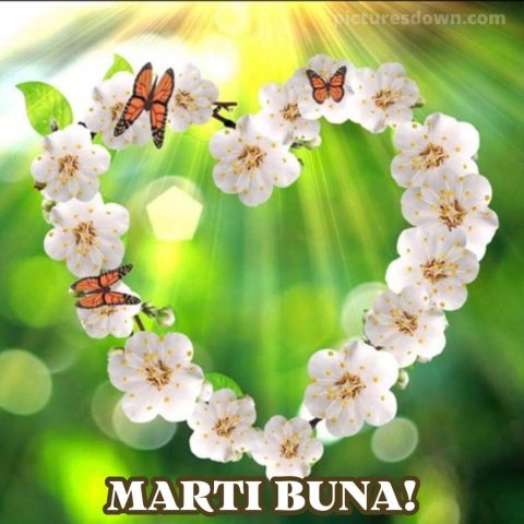 Buna dimineata marti iubire imagine fluturi descarcă gratis