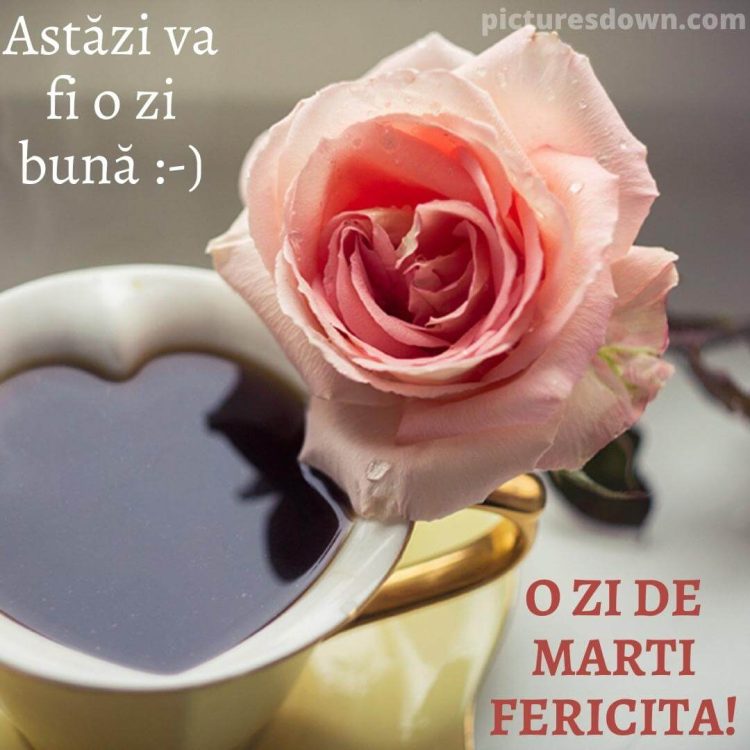 Buna dimineata marti iubire imagine cafea și trandafir descarcă gratis
