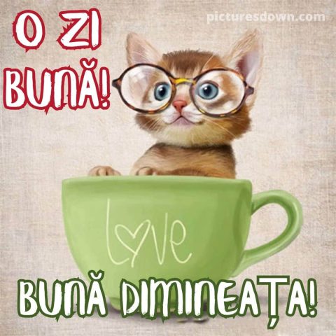 Buna dimineata pisica imagine într-o cană descarcă gratis