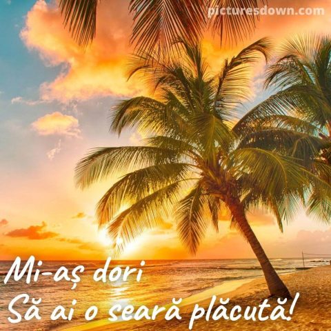 Buna seara joi imagine palmier descarcă gratis