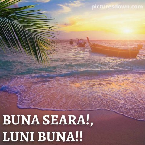 Buna seara luni imagine plajă descarcă gratis