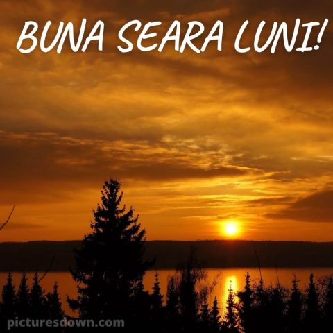 Buna seara luni imagine apus de noapte descarcă gratis