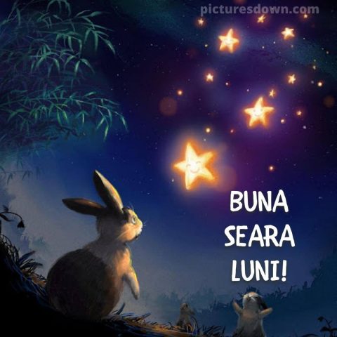 Buna seara luni imagine stele descarcă gratis