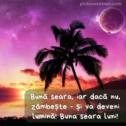 Buna seara luni imagine palmier descarcă gratis