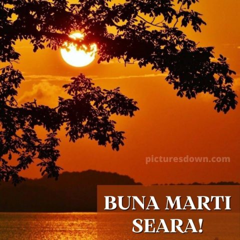 Buna seara marti imagine lună descarcă gratis