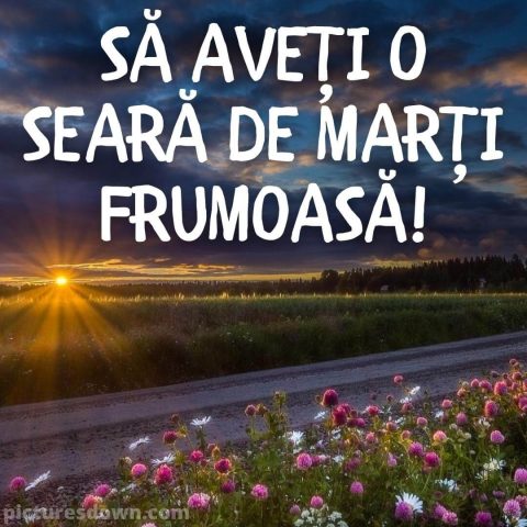 Buna seara marti imagine apus peste luncă descarcă gratis