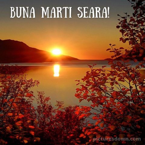 Buna seara marti imagine apus peste râu descarcă gratis