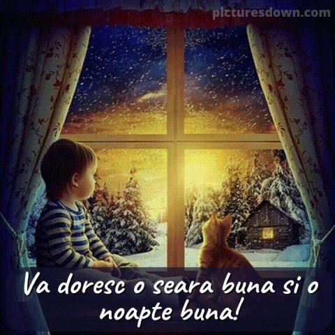 Buna seara marti imagine pisica si baiatul descarcă gratis