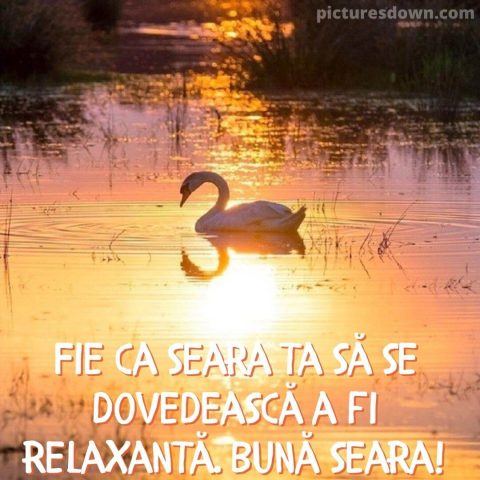 Buna seara marti imagine lebădă descarcă gratis