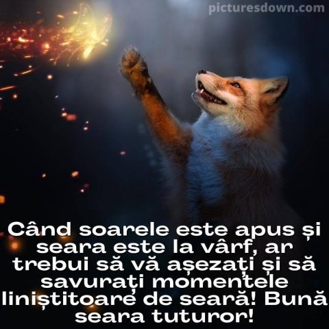 Buna seara marti imagine vulpe descarcă gratis