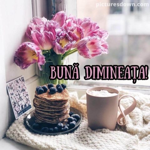 Cafeaua de dimineata imagine lalele descarcă gratis