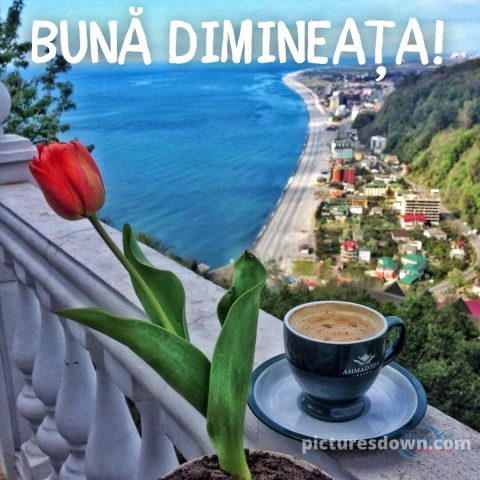 Buna dimineata la cafea imagine decor descarcă gratis