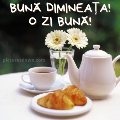 Buna dimineata la cafea imagine flori descarcă gratis