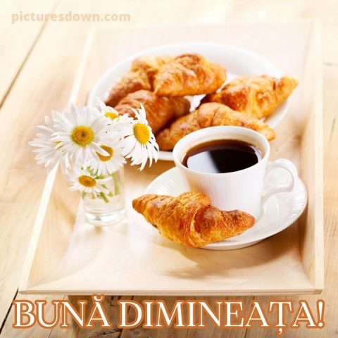 Buna dimineata la cafea imagine croissante descarcă gratis