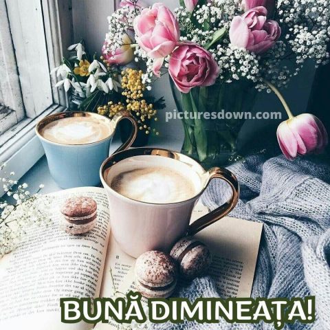 Buna dimineata la cafea imagine macaron descarcă gratis