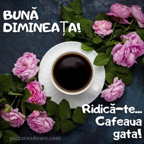 Buna dimineata la cafea imagine flori frumoase descarcă gratis