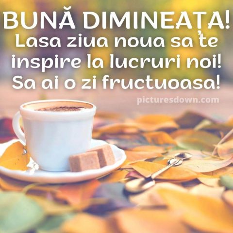 Cafeaua de dimineata imagine toamnă descarcă gratis