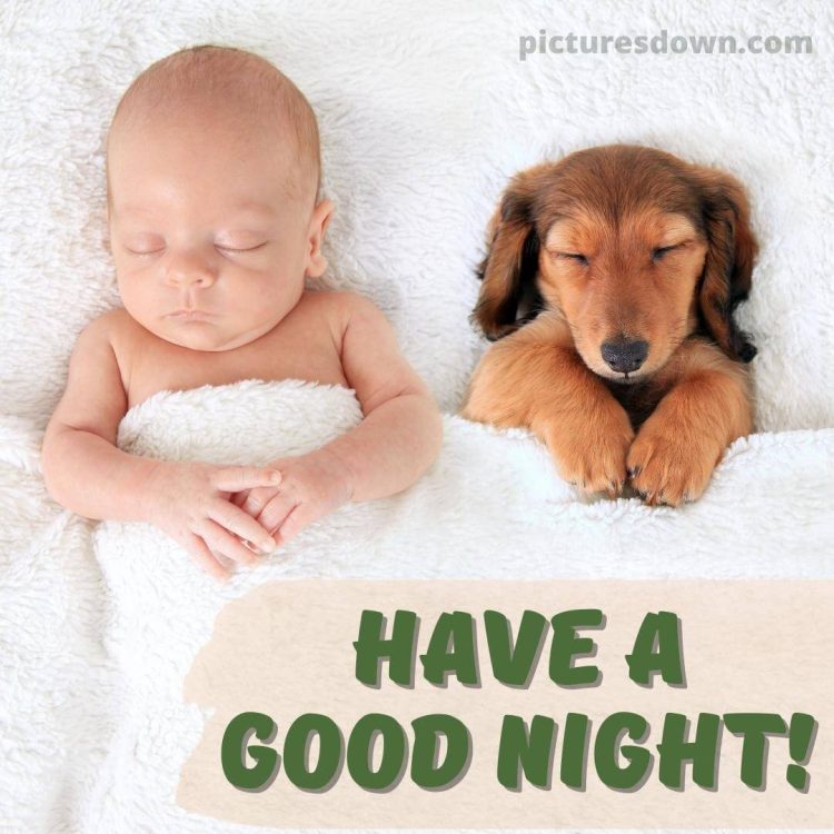 Funny image good night child and dog free download