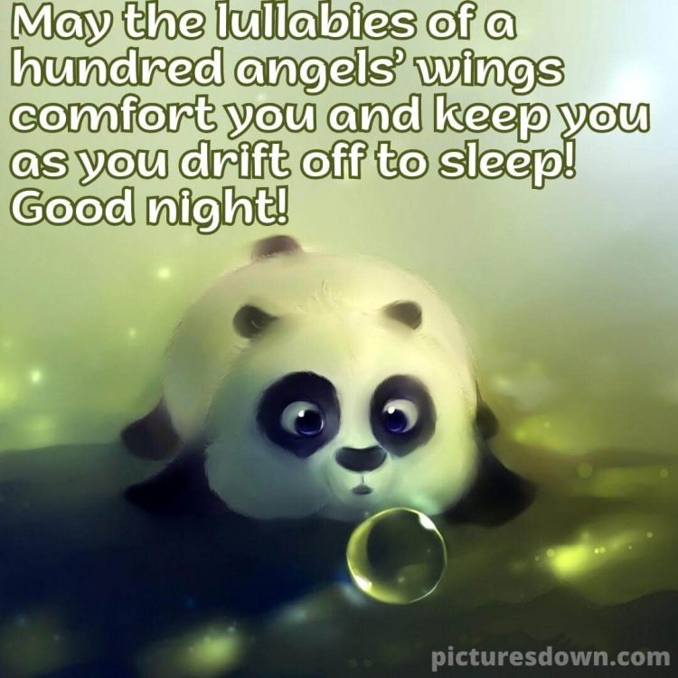 Good night picture panda free download
