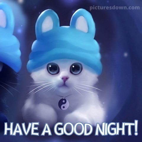 Beautiful good night image cat in a hat free download