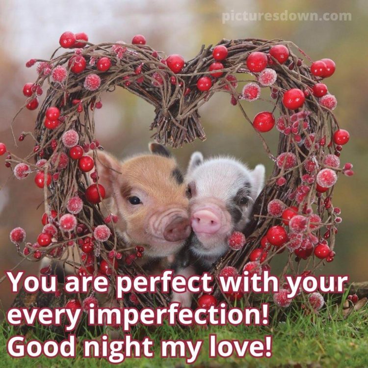 Good night image with love piglets free download