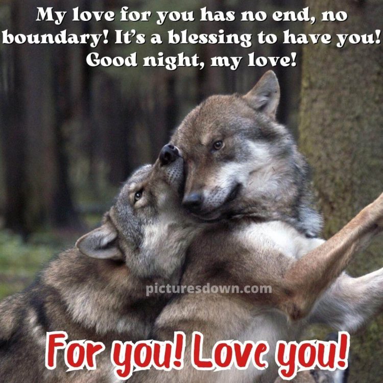 Good night image with love wolves free download