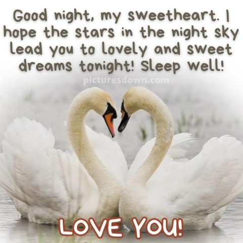 Good night image with love swans free download