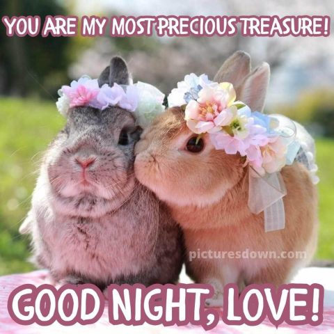 Good night image with love two rabbits free download
