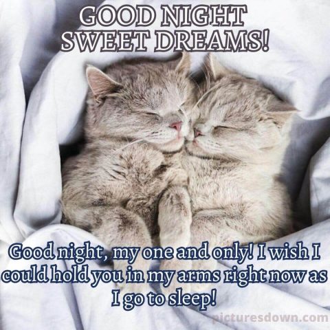 Good night image with love cats free download