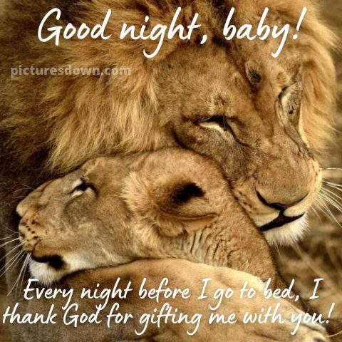 Good night image with love lions free download