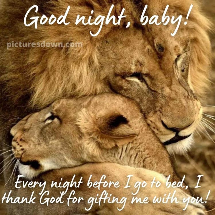 Good night image with love lions free download