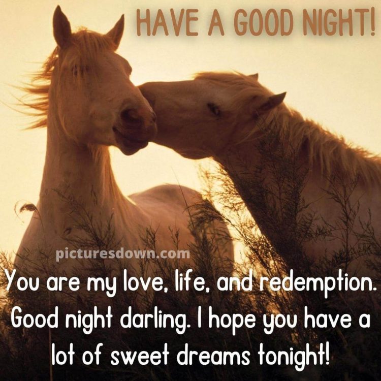 Good night image with love horses free download