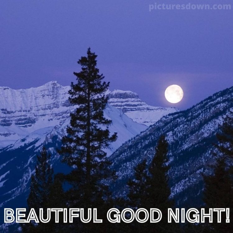 Good night moon picture forest free download