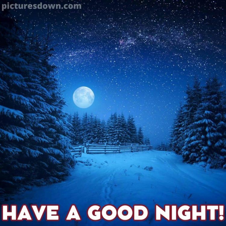 Good night moon picture winter free download