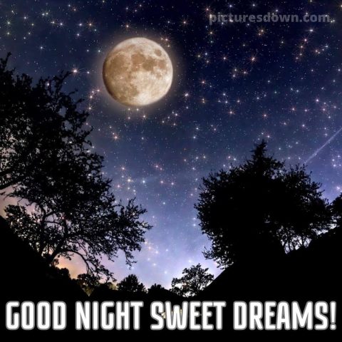 Good night moon picture stars free download