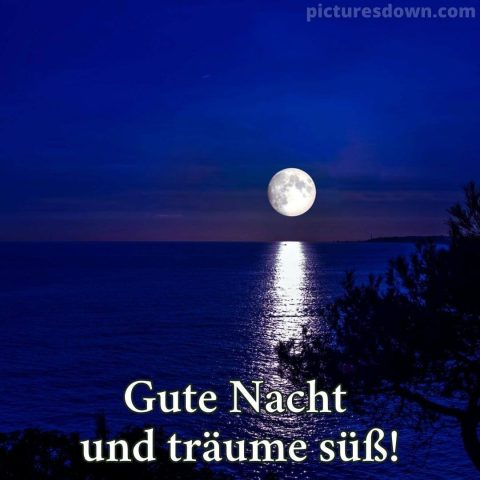 Gute nacht bild mond Meer kostenlos