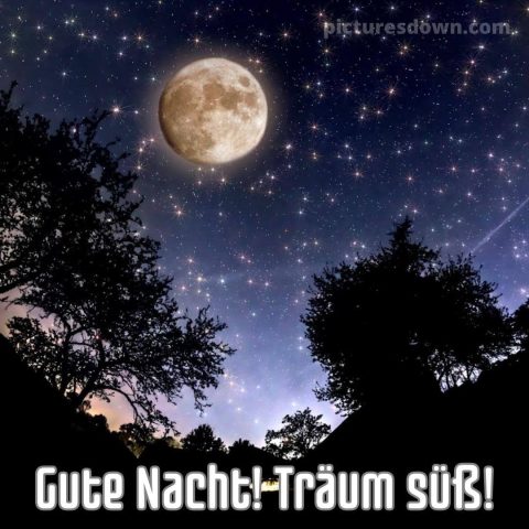 Gute nacht bild mond Sterne kostenlos