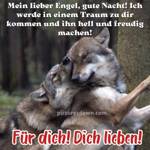 Liebe gute nacht grüße bild Wölfe kostenlos