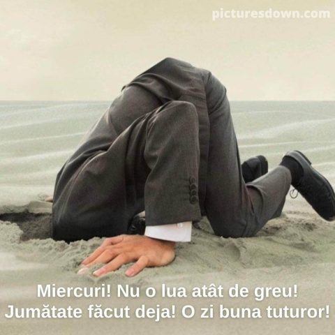 Imagine haioase miercuri capul în nisip descarcă gratis