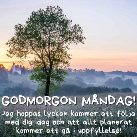 Måndag morgon bild dimma ladda ner gratis