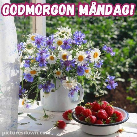 Måndag morgon bild jordgubbe ladda ner gratis
