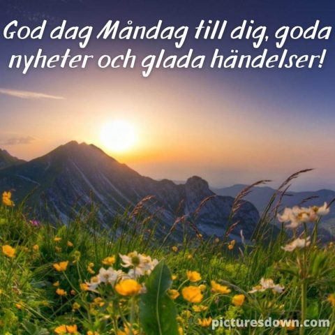 Måndag morgon bild soluppgång ladda ner gratis